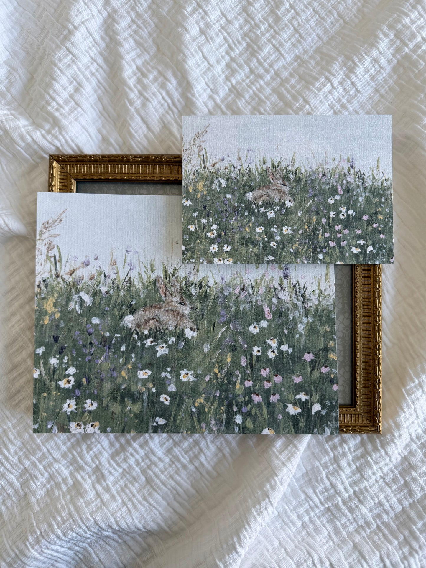 "Springtime Pause" Fine Art Prints