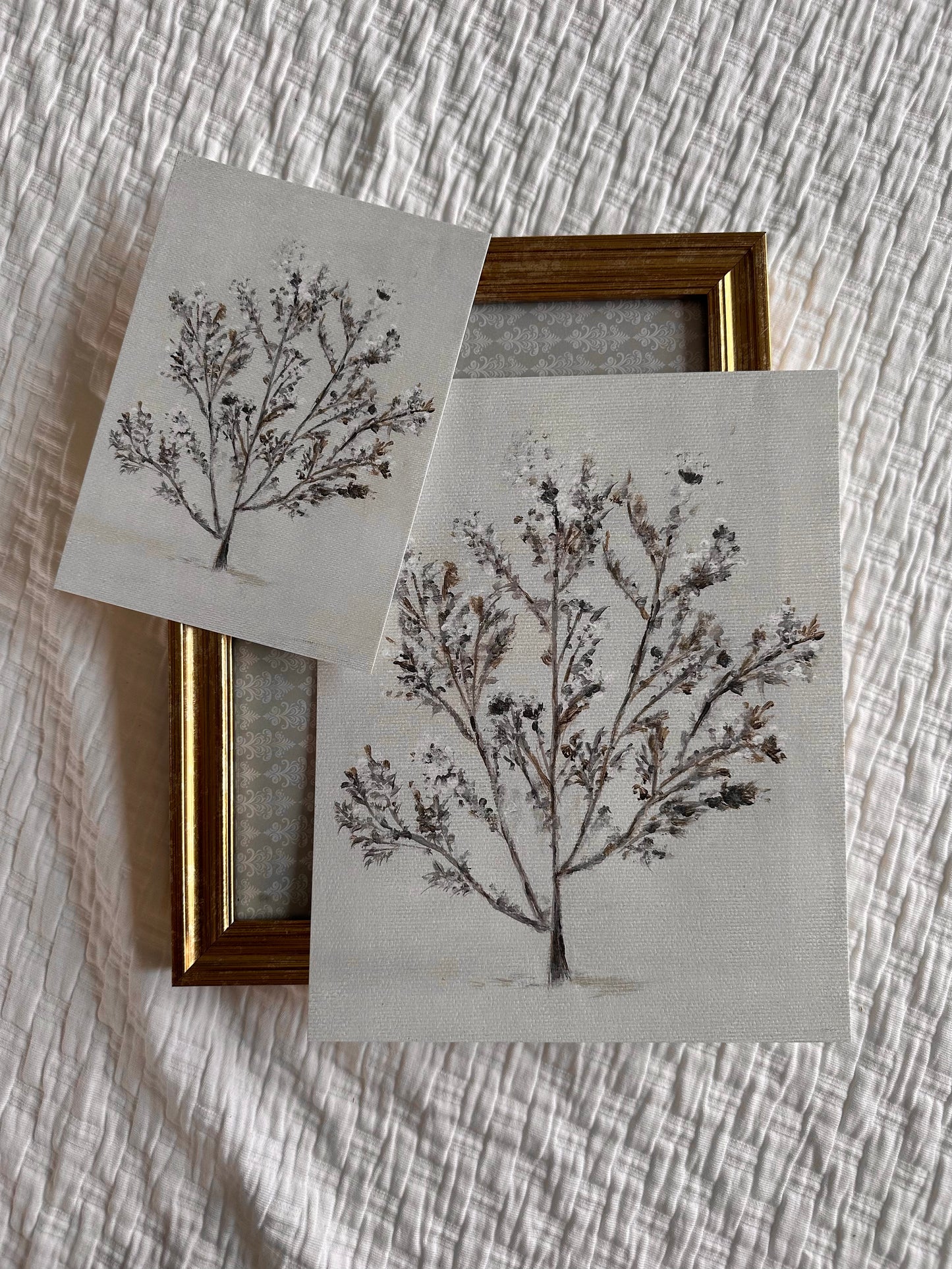 "Winter Stems" Fine Art Print