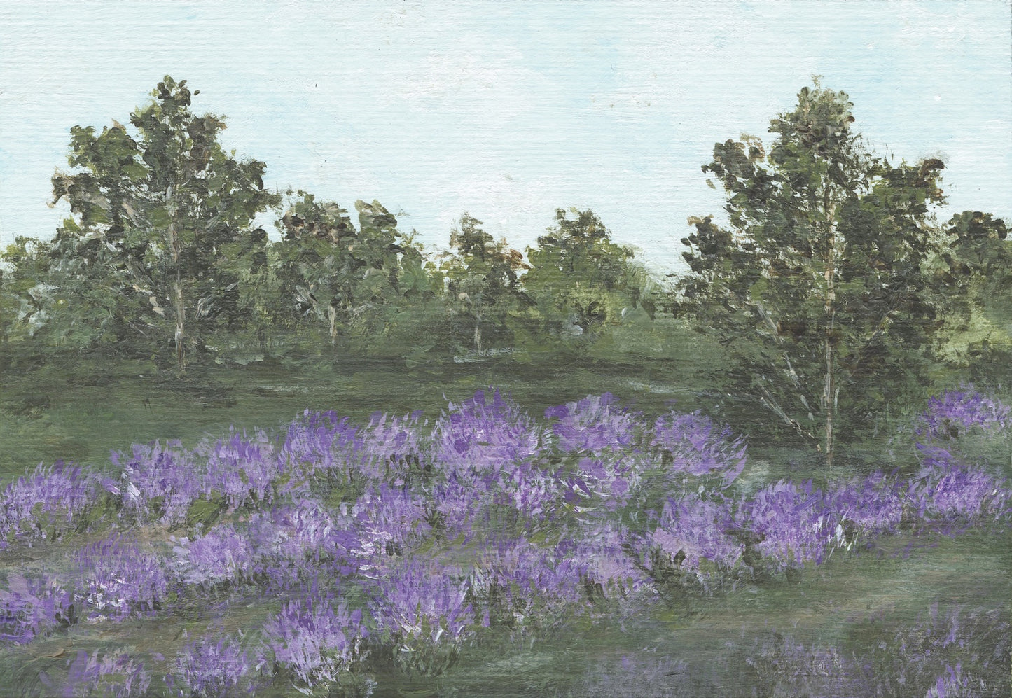 "A Field of Wishes for My Girl" Digital TV Art
