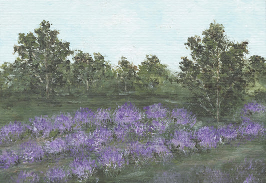 "A Field of Wishes for My Girl" Digital TV Art