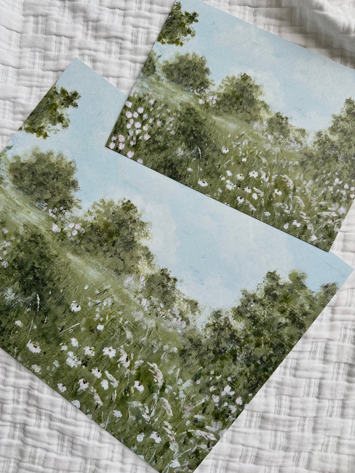 "Skies the Limit" Print
