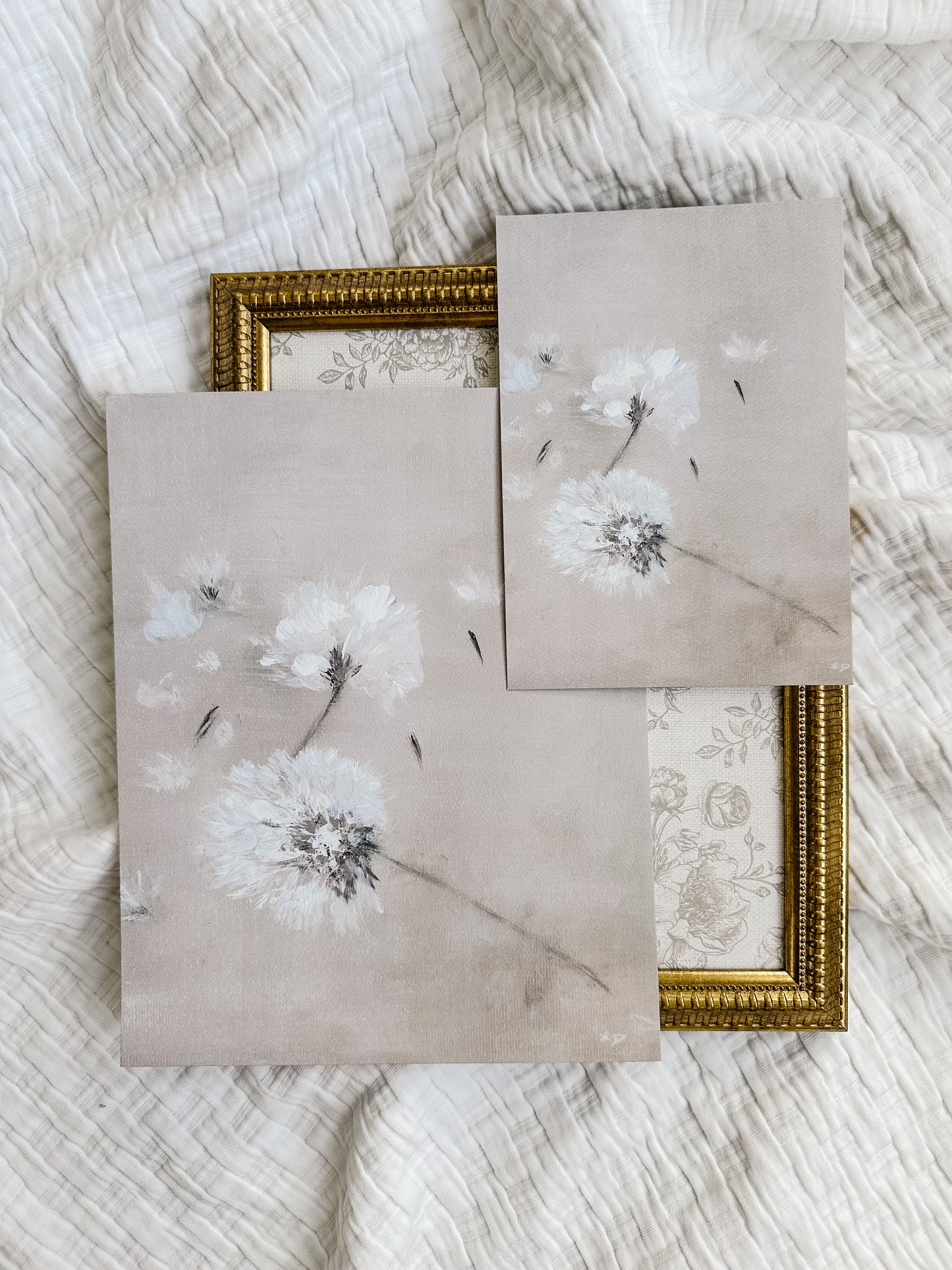 "Softly Faded" Fine Art Print