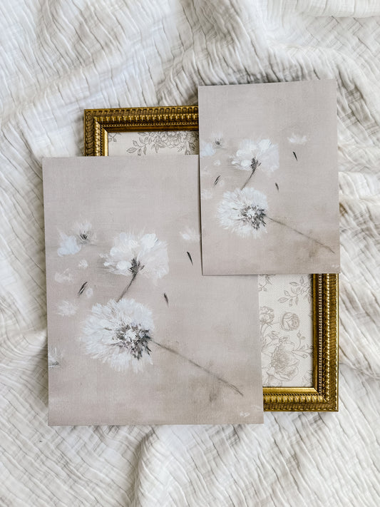 "Softly Faded" Fine Art Print